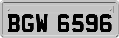 BGW6596