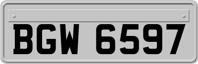 BGW6597
