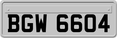 BGW6604