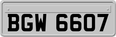 BGW6607