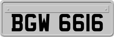 BGW6616