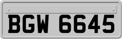 BGW6645