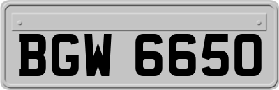 BGW6650