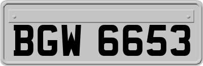 BGW6653