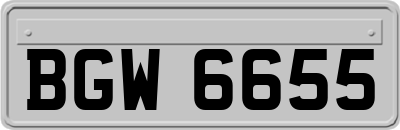 BGW6655