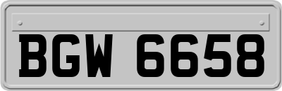 BGW6658
