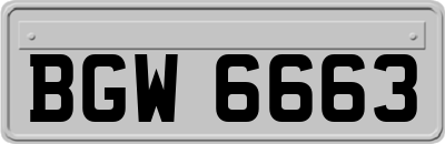 BGW6663