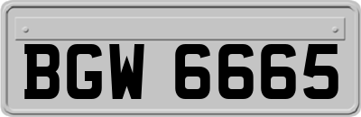 BGW6665