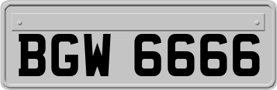 BGW6666