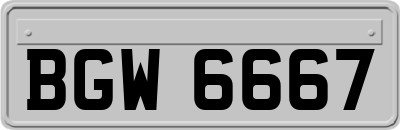 BGW6667
