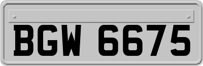 BGW6675