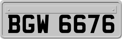 BGW6676