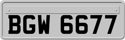 BGW6677