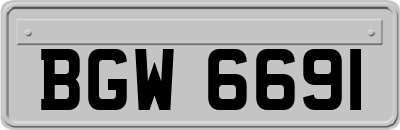 BGW6691
