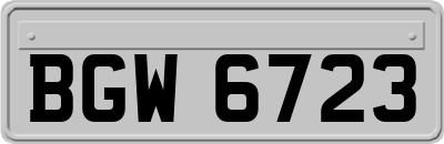 BGW6723