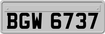 BGW6737
