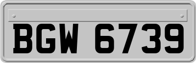BGW6739