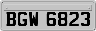 BGW6823