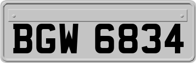BGW6834