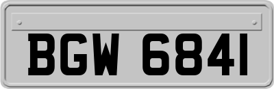 BGW6841