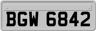 BGW6842