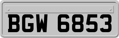 BGW6853