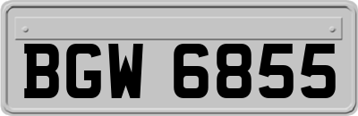 BGW6855