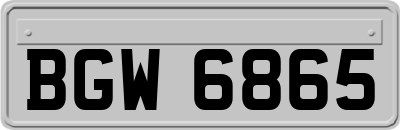 BGW6865