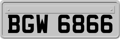 BGW6866