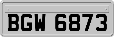 BGW6873