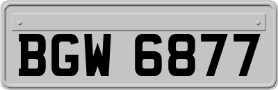 BGW6877