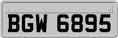 BGW6895
