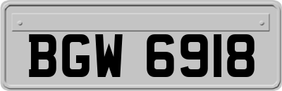 BGW6918