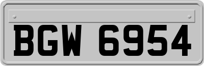 BGW6954