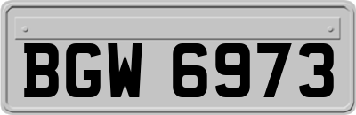 BGW6973