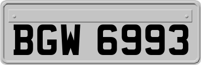 BGW6993