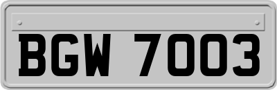 BGW7003