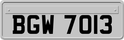BGW7013