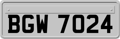 BGW7024