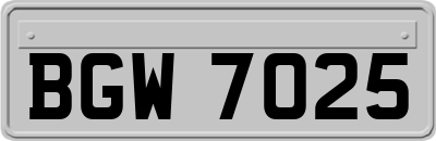 BGW7025