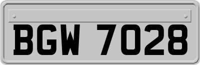 BGW7028