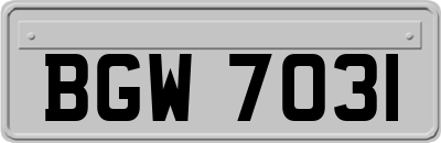 BGW7031