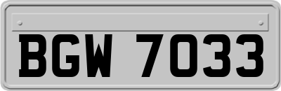 BGW7033