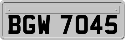 BGW7045