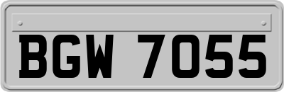 BGW7055