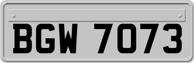 BGW7073