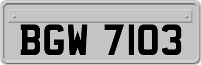 BGW7103