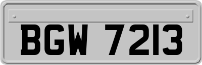 BGW7213