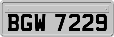 BGW7229