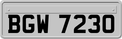 BGW7230
